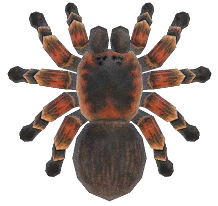 20482 acnh catching tarantula