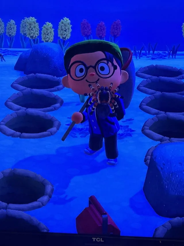 20482 acnh tarantula location