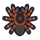 20482 acnh tarantula mistakes