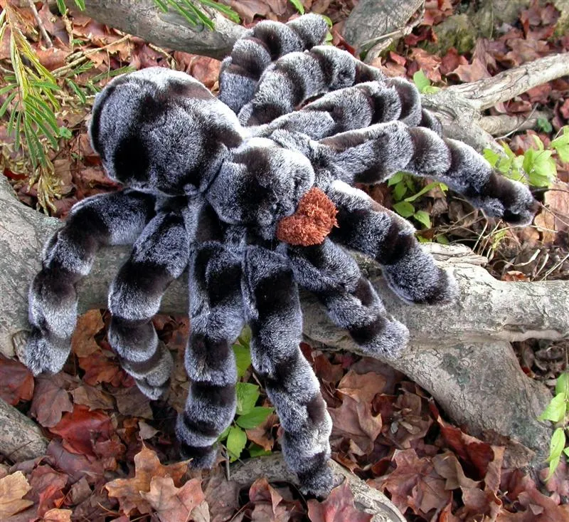 20483 tarantula venom