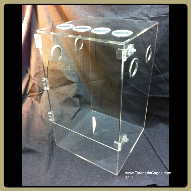 20486 acrylic tarantula cage