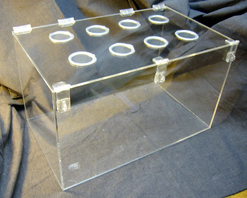 20486 glass tarantula cage