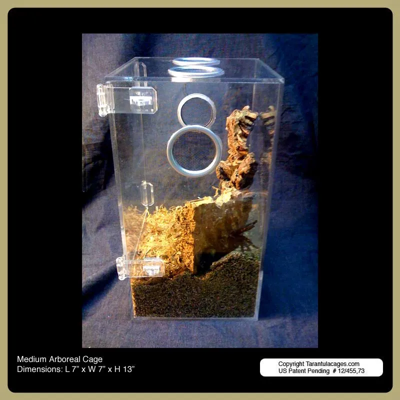 20486 plastic tarantula cage