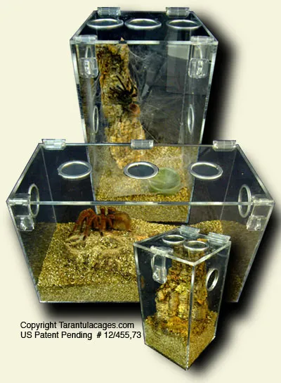 20486 tarantula cage buying guide