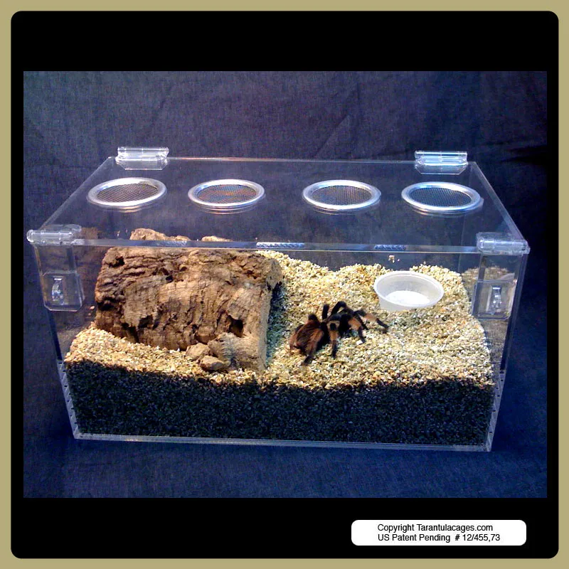 20486 tarantula cage ventilation