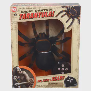 /img/20494-remote-control-tarantula-safety.webp