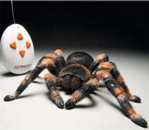 20494 spider behavior
