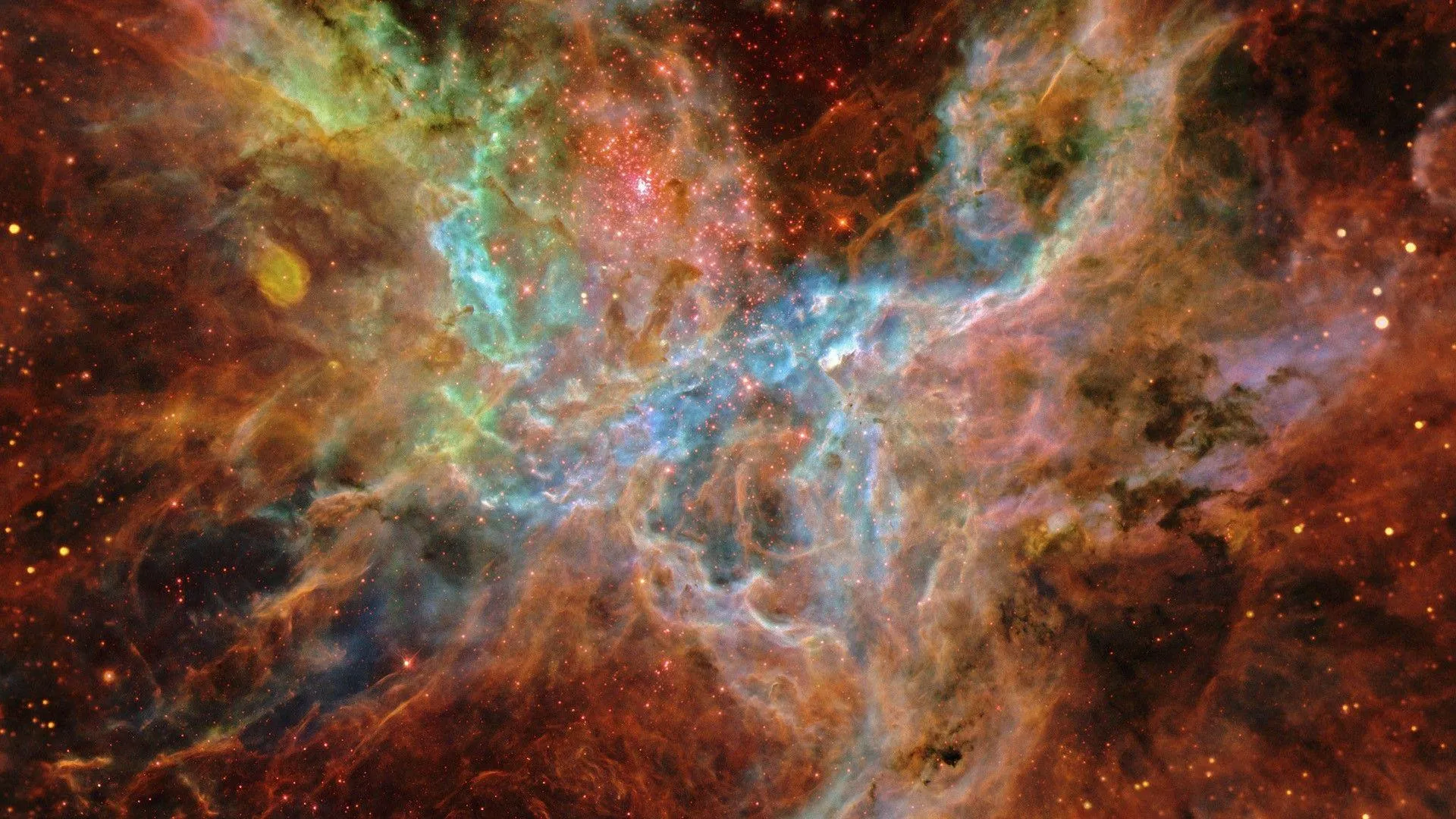 20495 tarantula nebula stars