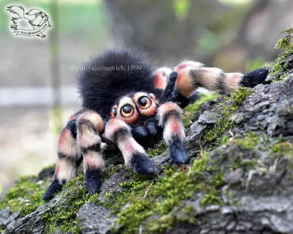 20516 pet tarantula toy cleaning