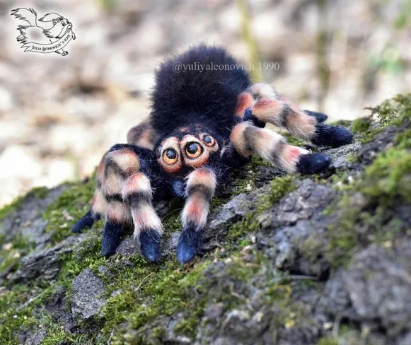 /img/20516-pet-tarantula-toy-damage.webp