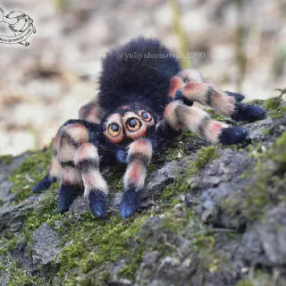 /img/20516-pet-tarantula-toy-damage.webp