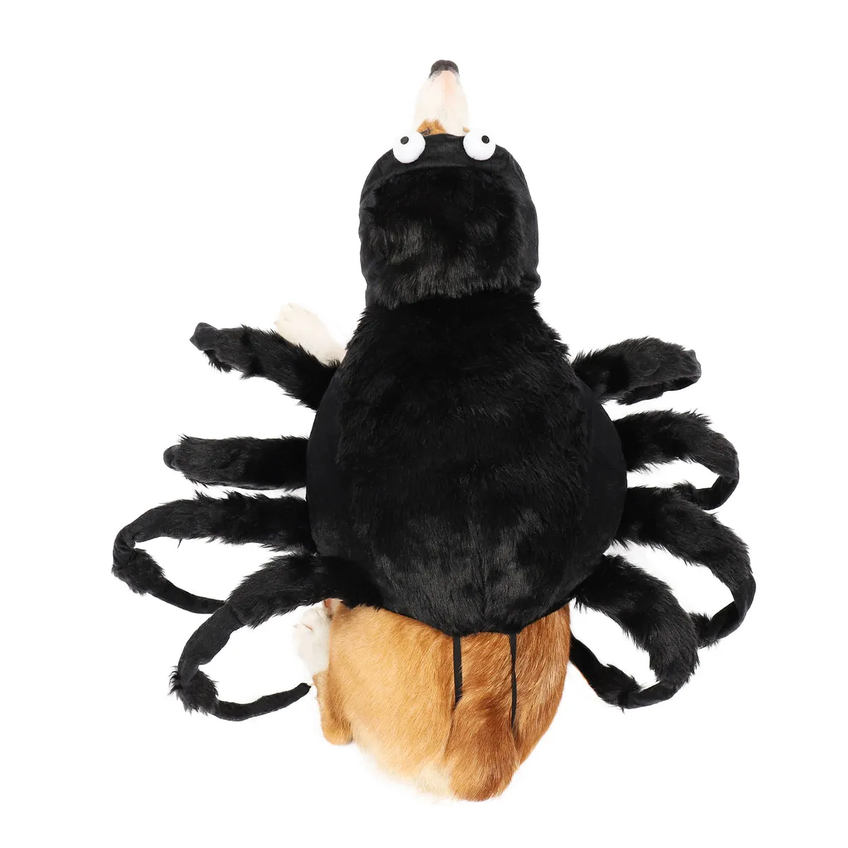 20516 pet tarantula toy puzzle