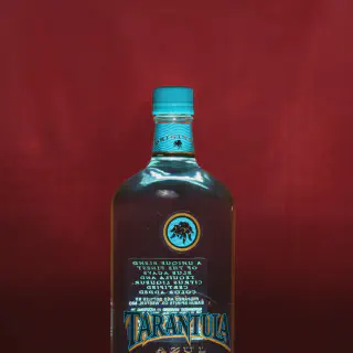 /img/20538-tarantula-feeding.webp