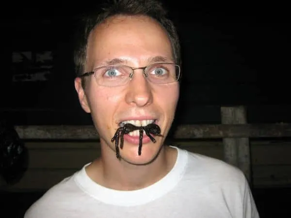 20542 tarantula digesting