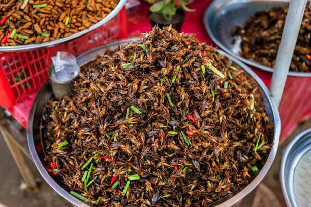 20543 serving fried tarantula