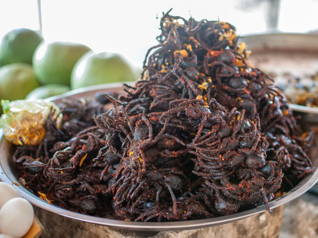 20543 spice blend