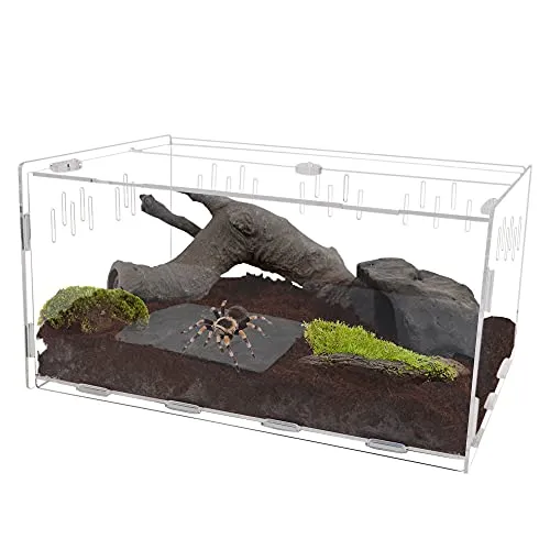20553 glass terrarium