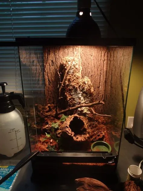 20553 tarantula substrate