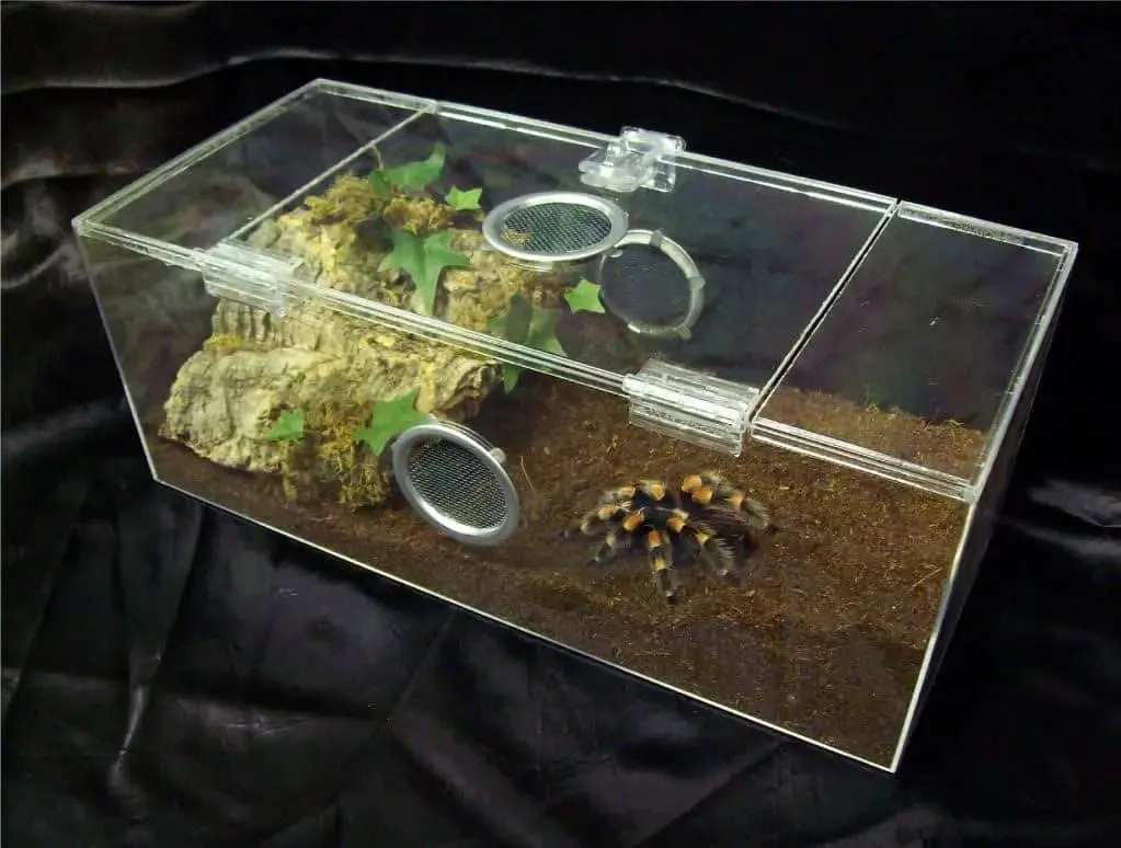 20557 tarantula under tank heater