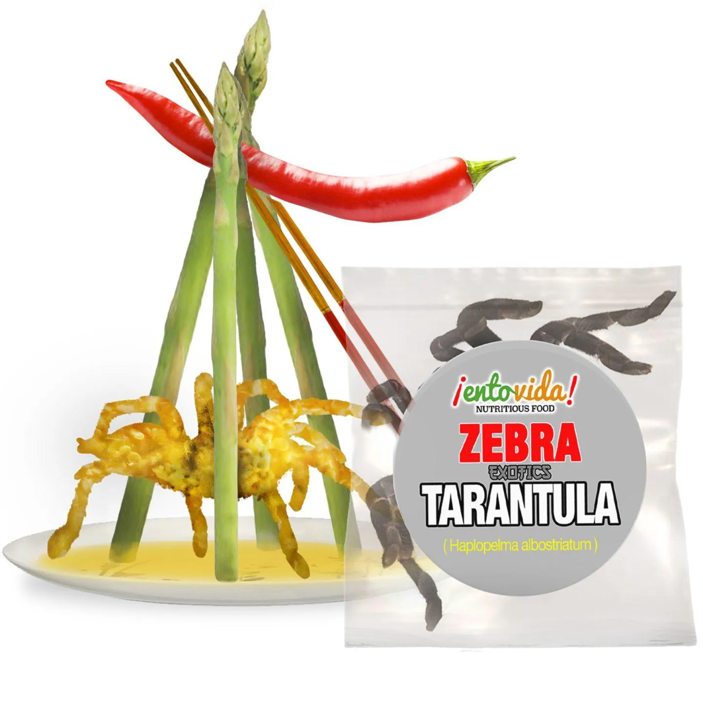 20562 tarantula close up
