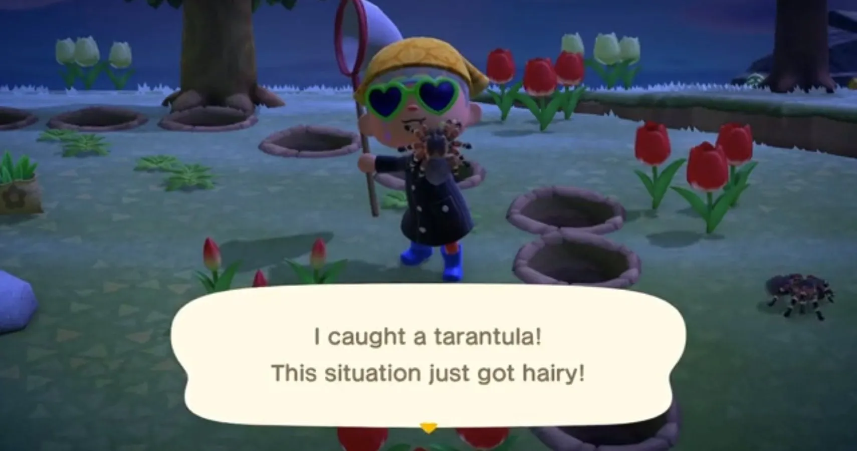 20566 animal crossing catching tarantula