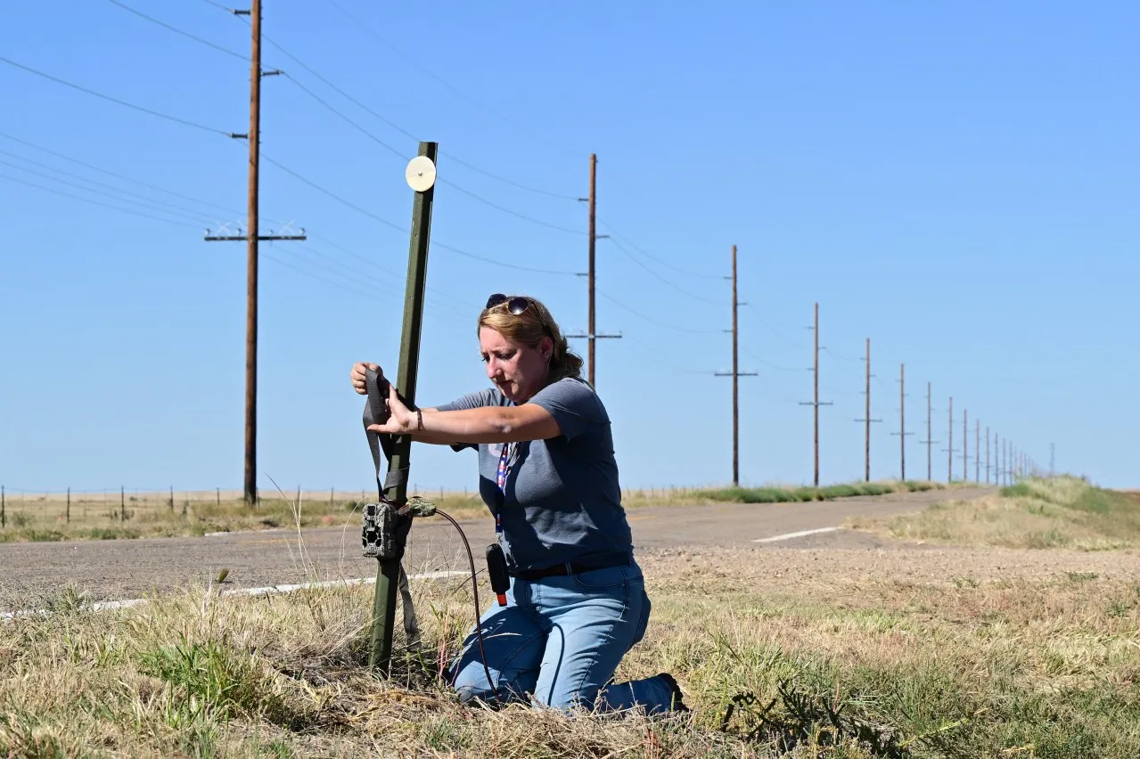 20588 tarantula spotting equipment