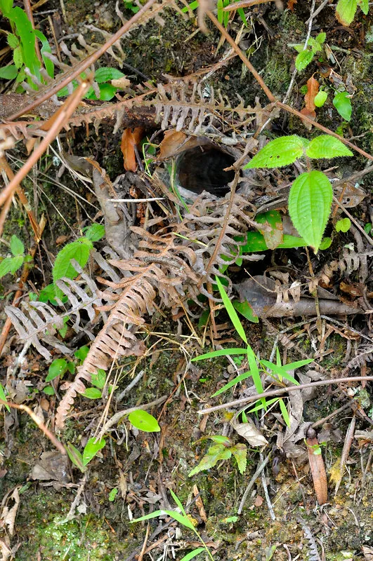 /img/20594-tarantula-health-check.webp