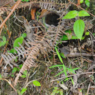 /img/20594-tarantula-health-check.webp