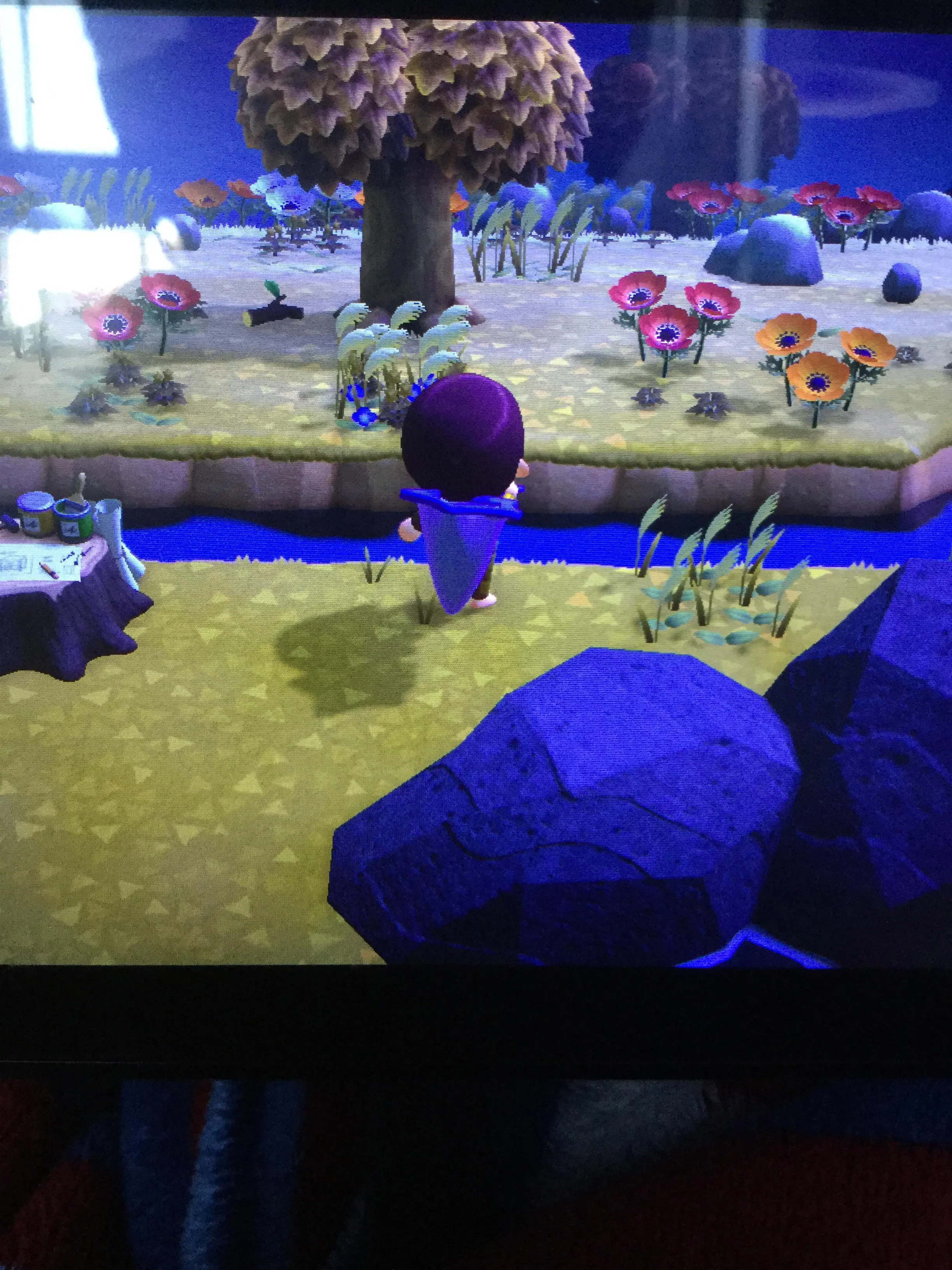 20601 animal crossing inventory