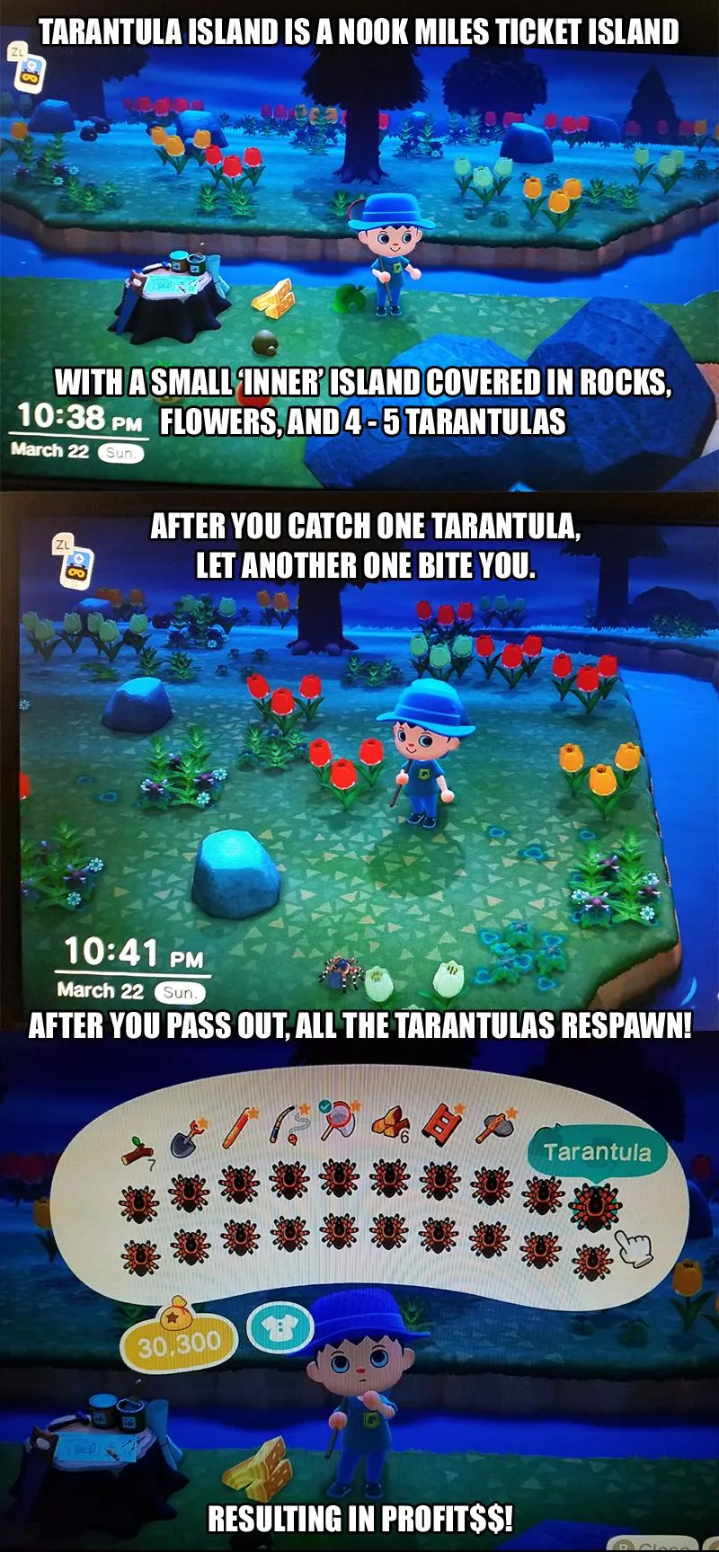 20601 animal crossing island preparation