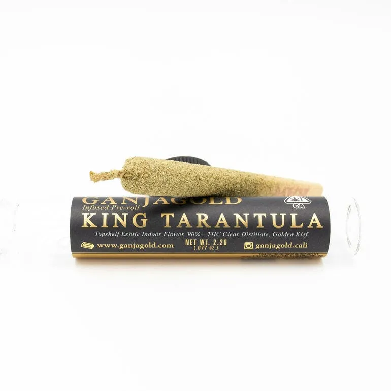 20605 king tarantula pre roll overview