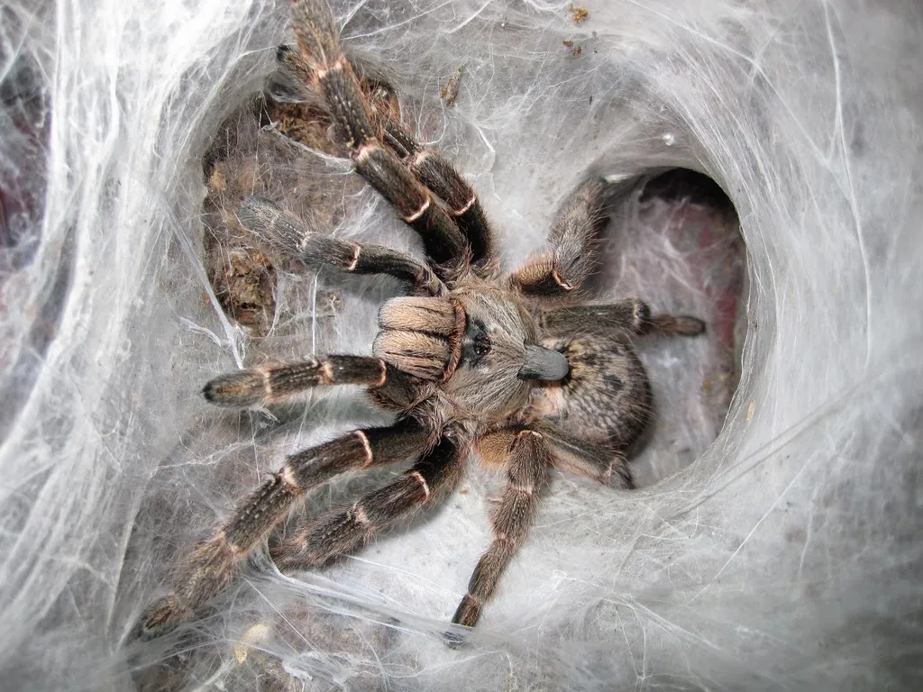 /img/20621-las-vegas-pet-store.webp