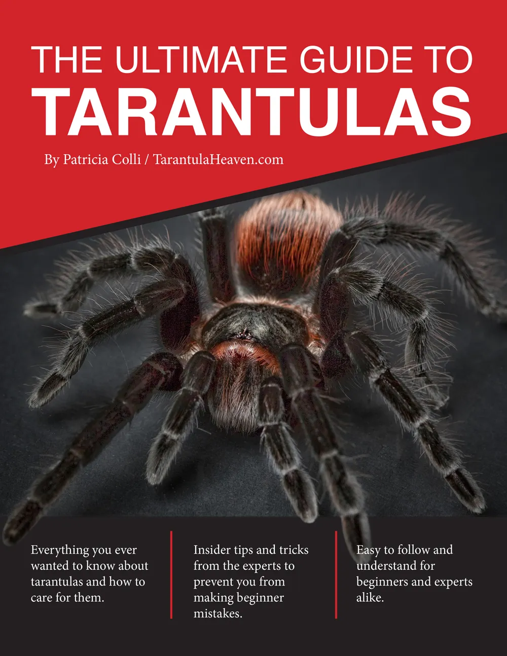 20625 tarantula 2 overview