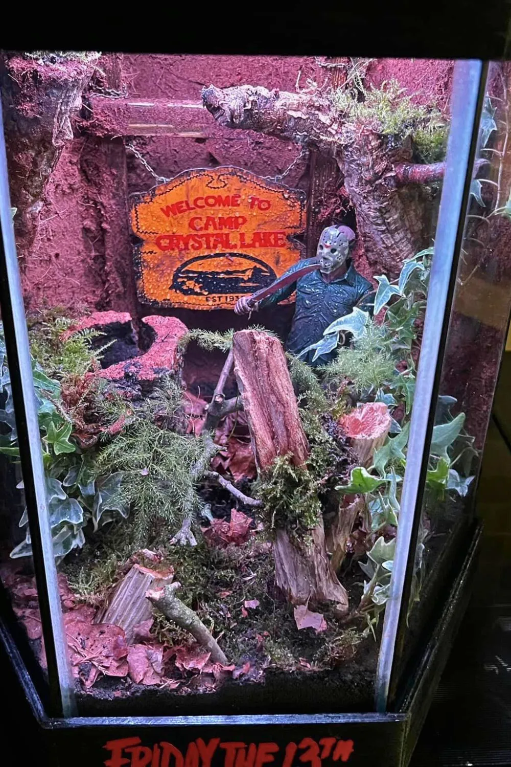20629 tarantula enclosure species