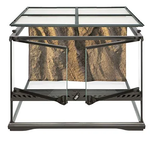 /img/20635-tarantula-enclosure-cleaning.webp