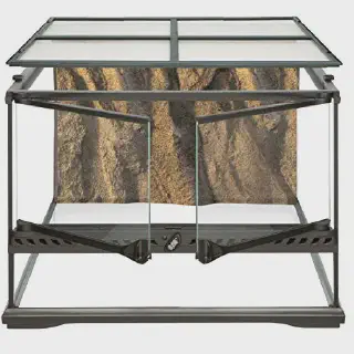 /img/20635-tarantula-enclosure-cleaning.webp