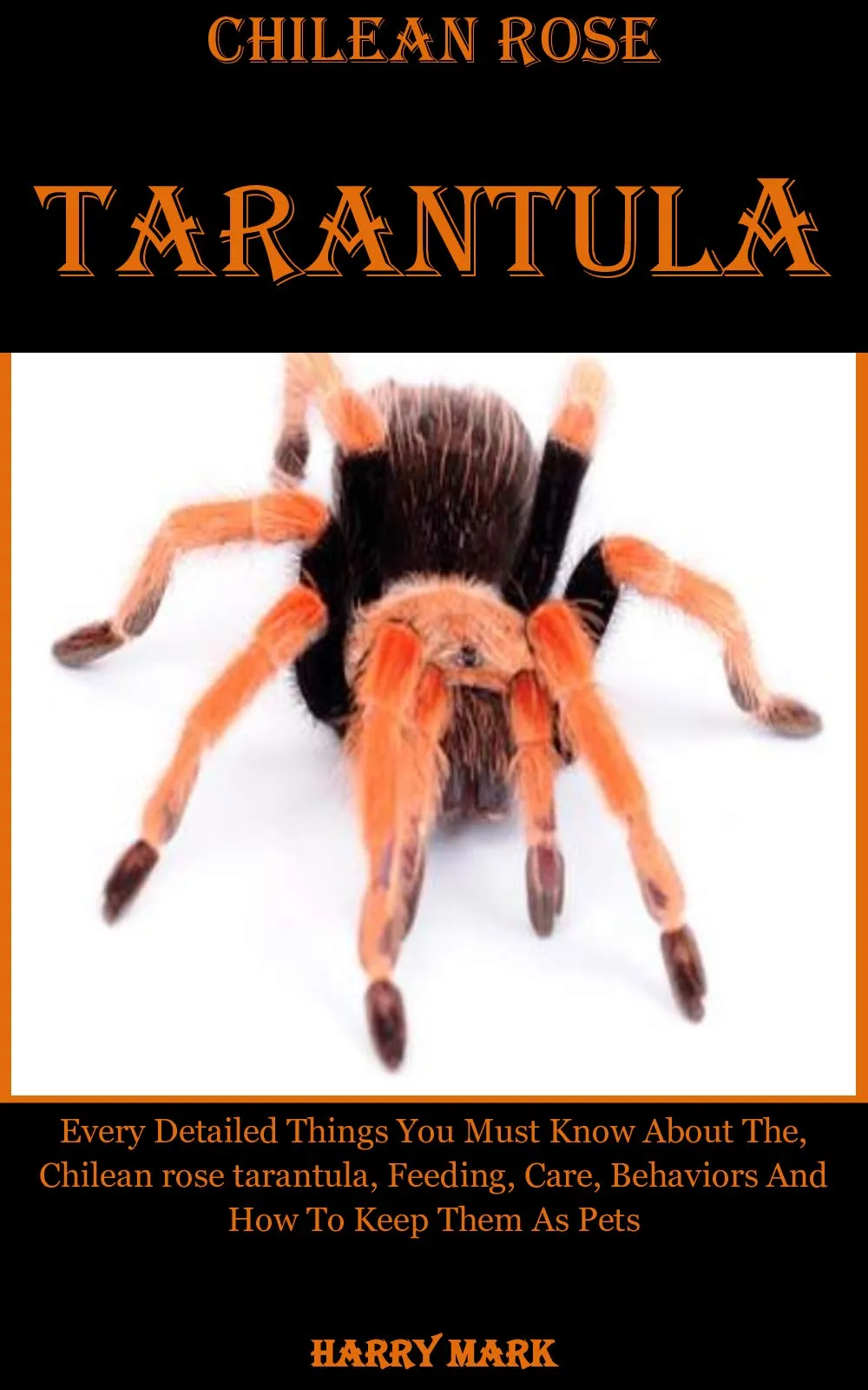 /img/20638-chilean-rose-tarantula-habitat.webp