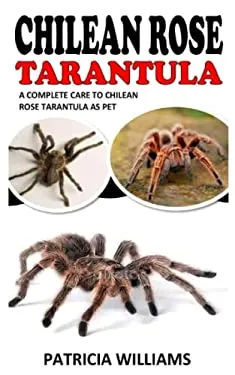 20638 chilean rose tarantula substrate