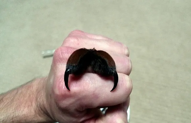20656 tarantula venom