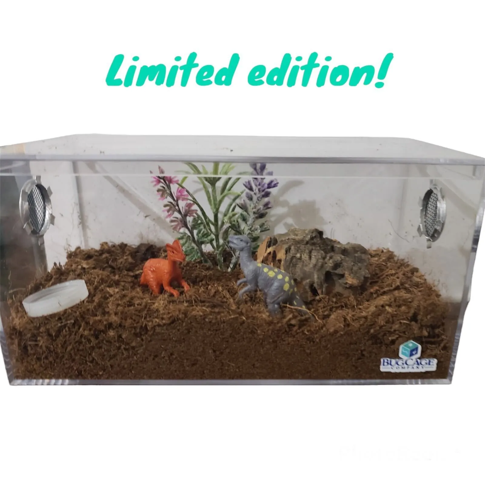 20669 tarantula size growth