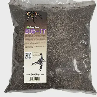 /img/20681-healthy-tarantula.webp