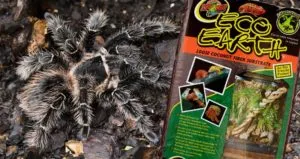20681 peat moss substrate