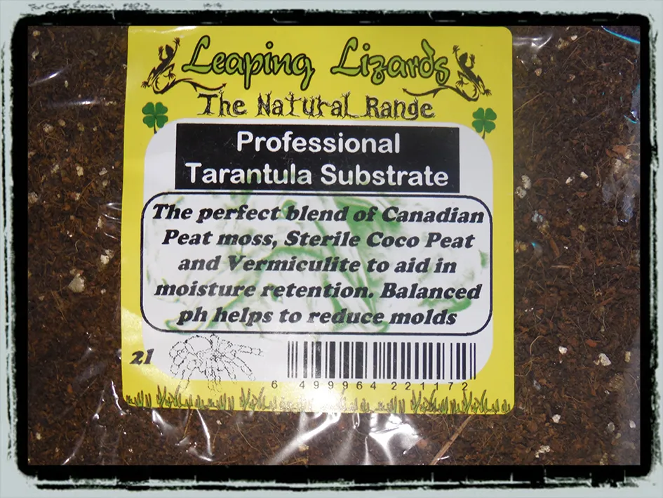 20681 tarantula burrowing