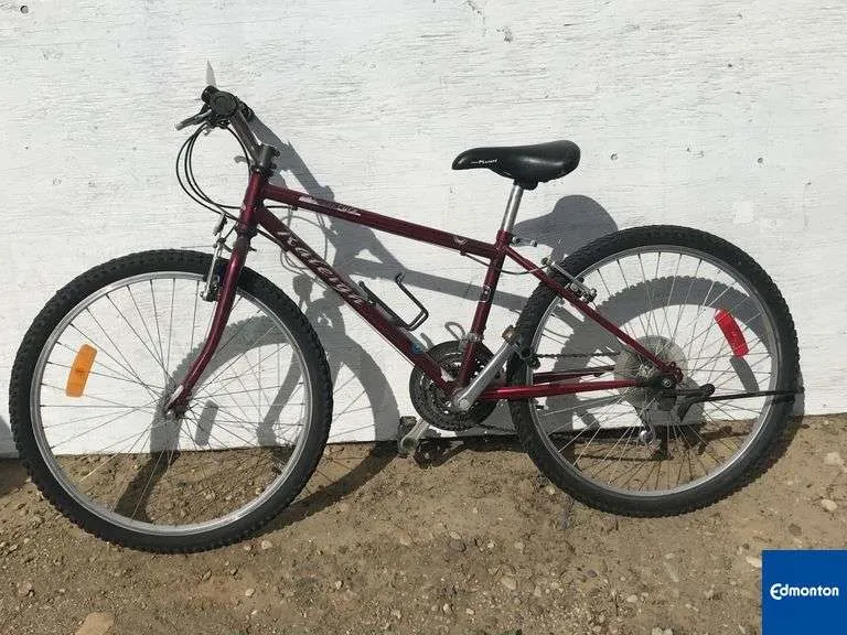 20703 raleigh tarantula model comparison