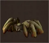 20708 tarantula molting