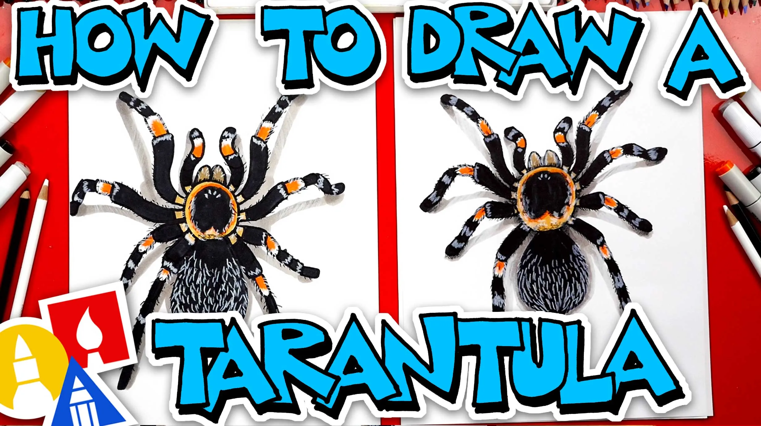 20711 red knee tarantula australia appearance