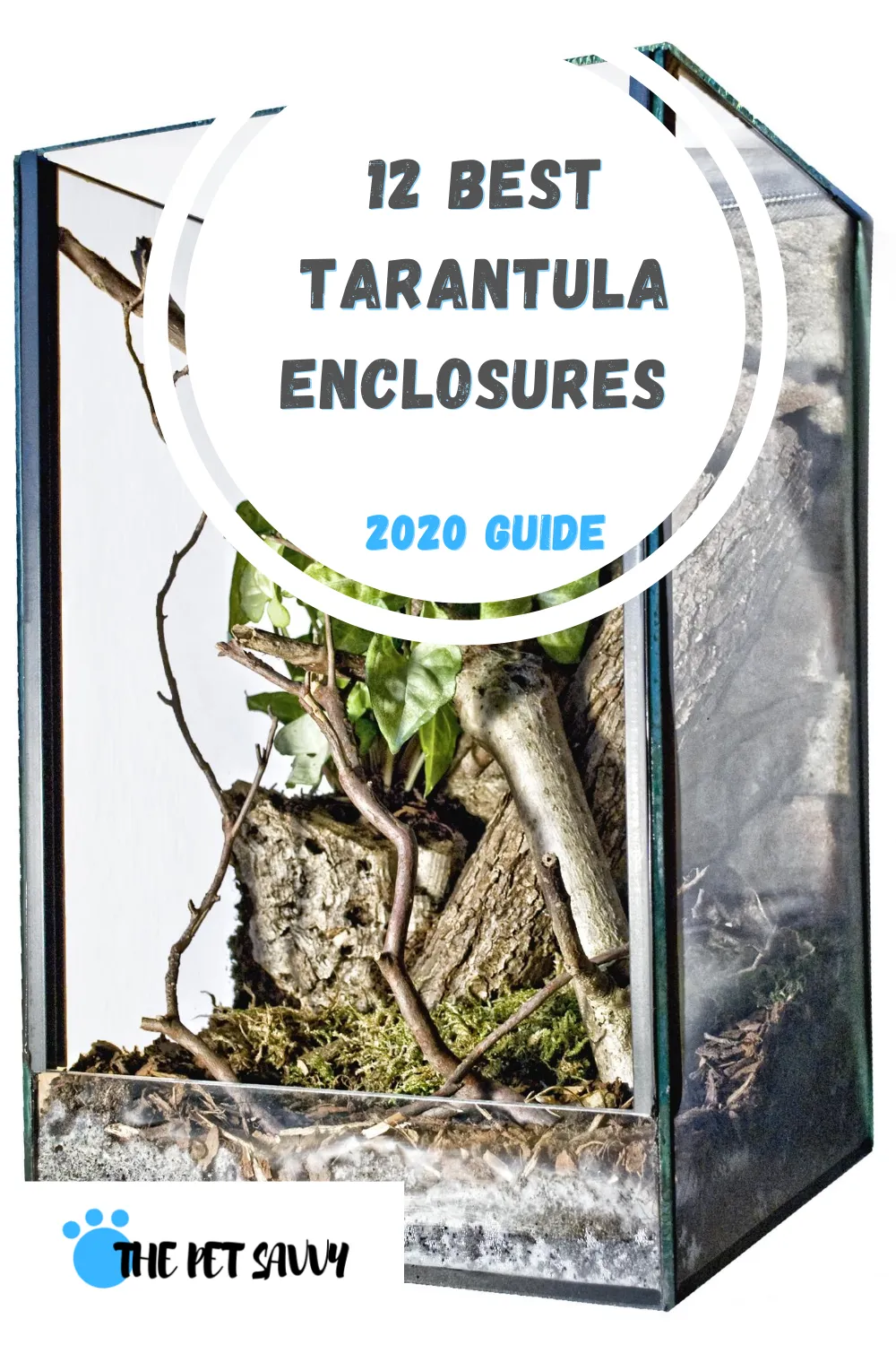 20715 tarantula cleaning