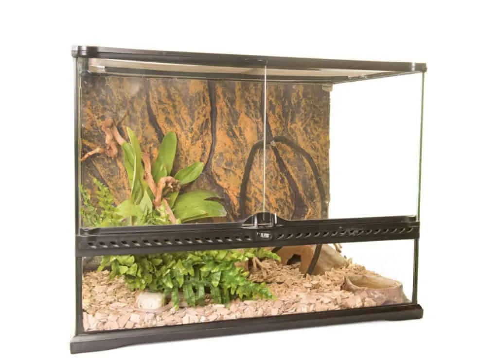 20715 tarantula hide example