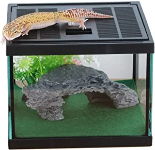 20715 water dish example