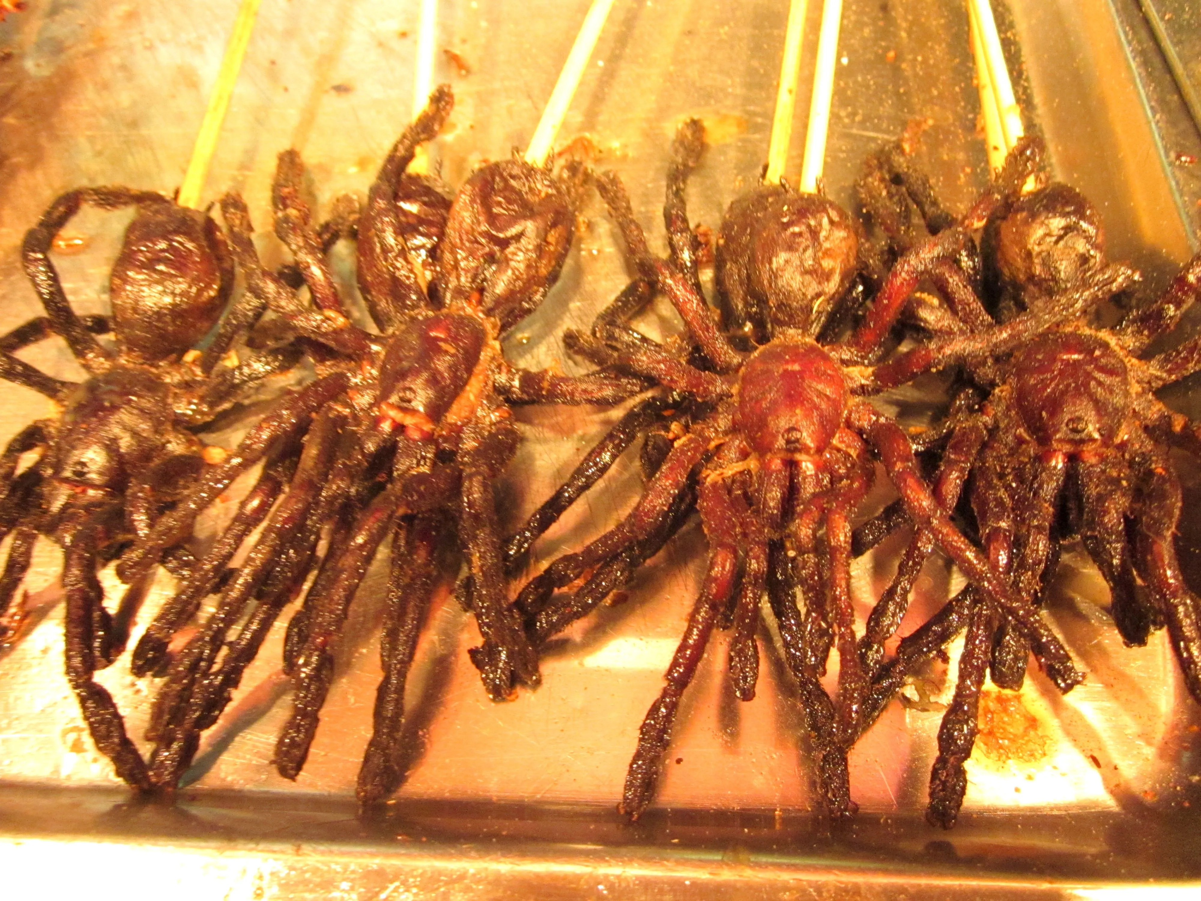 20723 eating fried tarantula vietnam